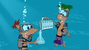 Phineas und Ferb Phineas und Ferb