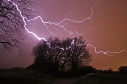 Ein so genannter Crawler: So werden Blitze genannt, die wie Spinnen &uuml;ber den Himmel kriechen, idealerweise unter den Wolken. Dann freut sich der Gewitterj&auml;ger. Sie sind oft recht langsam und lang, wunderbare Bildmotive.