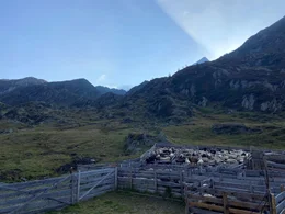 Auf dem Heimweg.