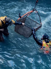 Scott Allen und Paul Richardson im Wasser mit einem Korb. Scott Allen und Paul Richardson im Wasser mit einem Korb.