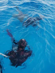 Safety Diver Sean Williams with sharks below. Safety Diver Sean Williams with sharks below.