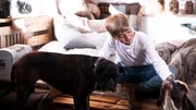 Luis streichelt zu Hause seine Boxerdamen Adele und Jule. Luis streichelt zu Hause seine Boxerdamen Adele und Jule.