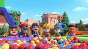 v.li.: Mix, Charger, Wheeler, Rubble, Motor, Coach Karima, Lucas v.li.: Mix, Charger, Wheeler, Rubble, Motor, Coach Karima, Lucas