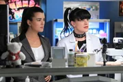 Ein neuer Fall beschäftigt Abby (Pauley Perrette, r.) und Ziva (Cote de Pablo, l.) ... Ein neuer Fall beschäftigt Abby (Pauley Perrette, r.) und Ziva (Cote de Pablo, l.) ...