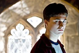 F&uuml;r Harry Potter (Daniel Radcliffe) beginnt das sechste Schuljahr in Hogwarts. Dort verbreitet sich das Ger&uuml;cht &uuml;ber eine Prophezeiung, die ihn als den &bdquo;Auserw&auml;hlten&ldquo; beschreibt, der als einziger Lord Voldemort endg&uuml;ltig stoppen kann.