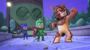 L-R: Catboy (voiced by Jacob Ewaniuk), Owlette (voiced by Addison Holley), Gekko (voiced by Kyle Breitkopf), Armadylan (voiced by Cristian Perri)