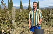 Ramon Babazadeh packt bei der Weinlese auf dem Weingut von Josep Serra mit an: Mit Eimer und Zange erntet er die ökologisch angebauten Trauben. Wie der perfekte Reifegrad schmeckt und was eine nachhaltige Produktion mit dem alten Winzerhandwerk verbindet – das erfahren Besucher hier aus erster Hand. Ramon Babazadeh packt bei der Weinlese auf dem Weingut von Josep Serra mit an: Mit Eimer und Zange erntet er die ökologisch angebauten Trauben. Wie der perfekte Reifegrad schmeckt und was eine nachhaltige Produktion mit dem alten Winzerhandwerk verbindet – das erfahren Besucher hier aus erster Hand.