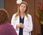 Ellen Pompeo (Dr. Meredith Grey). Ellen Pompeo (Dr. Meredith Grey).