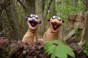 Auf der Suche nach einer entlaufenden Mumie landen die Erdm&auml;nnchen Jan und Henry in einem dunklen und unheimlichen Wald.