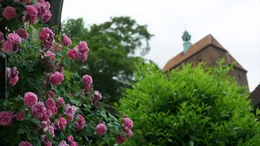 Havelberg