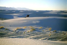Joe Dimmick als Clint Eastwood Darsteller in White Sands Landschaft.