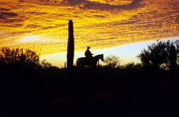 Brennende Sonnenunterg&auml;nge und imposante Seguaro-Kakteen geh&ouml;ren zu jedem richtigen Western.