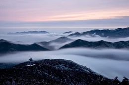 Ein nebelverhangener Urwald: Der Nationalpark Baishanzu beheimatet eine seltene und artenreiche Tierwelt.