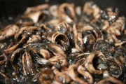 Tintenfische in Sepiasauce. Tintenfische in Sepiasauce.