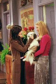 Monica Geller (Courteney Cox, l.); Phoebe Buffay (Lisa Kudrow, r.)