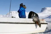Bis heute leben viele der Inuits in Ostgrönland größtenteils von der Jagd: Im Winter werden hauptsächlich Seehunde und Narwale gejagt, im Sommer Rentiere und Moschusochsen. Bis heute leben viele der Inuits in Ostgrönland größtenteils von der Jagd: Im Winter werden hauptsächlich Seehunde und Narwale gejagt, im Sommer Rentiere und Moschusochsen.