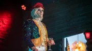 Maditas (Nico Birnbaum) Aufmerksamkeit ist geweckt. Maditas (Nico Birnbaum) Aufmerksamkeit ist geweckt.