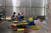 Auf der Insektenfarm Entofood in Malaysia zeigt Agraringenieurin Emilie (re.) Coline (Mi.) und Corentin (li.) ein sehr effizientes System zur Abfallbeseitigung.