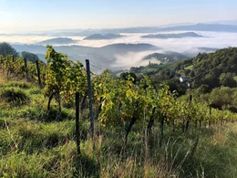 Die steirische Toskana.