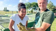 Tierreporterin Pia und Balint Halpern mit einer ungarischen Giftschlange. Tierreporterin Pia und Balint Halpern mit einer ungarischen Giftschlange.