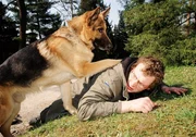 Rex, Holger Schober Rex, Holger Schober