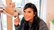 Anna bei den kleinen Kätzchen. Britisch Kurzhaarkatzen mögen Plätze mit Aussicht. Anna bei den kleinen Kätzchen. Britisch Kurzhaarkatzen mögen Plätze mit Aussicht.