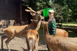 Zootierpflegerin Elisabeth Loch, Wildpark Kn&uuml;ll.