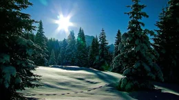 Winterlandschaft in Tirol.