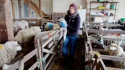 Lämmer anzufassen, traut Heidi sich anfangs nur mit Handschuhen. Lämmer anzufassen, traut Heidi sich anfangs nur mit Handschuhen.
