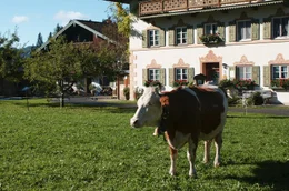 Blick auf den Seppenbauernhof am Walchensee.