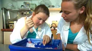 Anne mit Meeresbiologin Isabel Keller. Anne mit Meeresbiologin Isabel Keller.