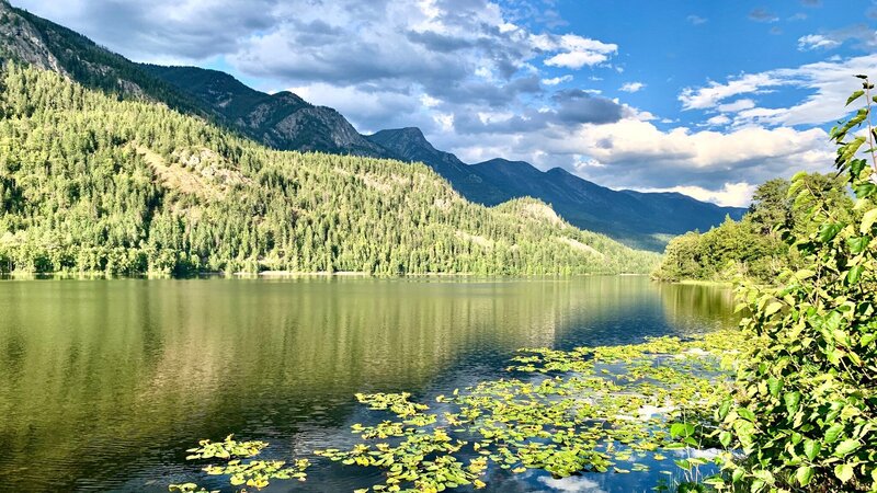 Wenn die Welt innehält – Natur im Aufschwung (CDN, 2021)