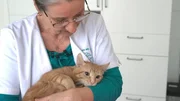 Ilka Brummenbaum in Siegburg is taking care of young tomcat Wasja.