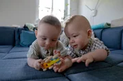 Die Zwillinge Theo und Henry. Die Zwillinge Theo und Henry.