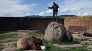 Chris Swanda watches 900-pound grizzly, Brutus, pig out on huckleberry ice cream. Chris Swanda watches 900-pound grizzly, Brutus, pig out on huckleberry ice cream.