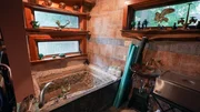 Bathroom of Spiders and Dragons on My Stairs Oh My home, as seen on Ugliest House In America, Season 6.