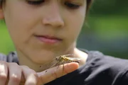 Pepe mag Libellen am liebsten.