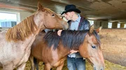 Jason gibt einem einjährigen Quarter Horse ein Küsschen. Jason gibt einem einjährigen Quarter Horse ein Küsschen.