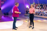 Hundetrainerin Conny Sporrer hat nützliche Tipps, die jedermann ganz einfach mit seinem Haustier üben kann. Hundetrainerin Conny Sporrer hat nützliche Tipps, die jedermann ganz einfach mit seinem Haustier üben kann.