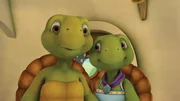 Herr und Frau Schildkröte sind stolz auf ihren großen Sohn. Herr und Frau Schildkröte sind stolz auf ihren großen Sohn.