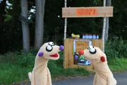 Die Erdm&auml;nnchen suchen die verschwundenen Marathon-L&auml;ufer