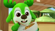Bobbi