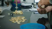Mann, der Goldmünzen zählt. Mann, der Goldmünzen zählt.
