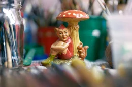 Rot, wei&szlig;, r&auml;tselhaft: Der Fliegenpilz ist weit mehr als eine M&auml;rchenfigur &ndash; eine Reise zu einem der geheimnisvollsten Wesen der Natur.
