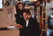 Scully (Gillian Anderson, l.) und Mulder (David Duchovny, r.) sichten ein Videoband, das bedeutend mehr Licht in die Angelegenheit bringt, die sie bearbeiten. Scully (Gillian Anderson, l.) und Mulder (David Duchovny, r.) sichten ein Videoband, das bedeutend mehr Licht in die Angelegenheit bringt, die sie bearbeiten.