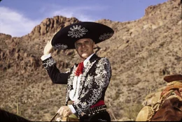 Lucky Day (Steve Martin)