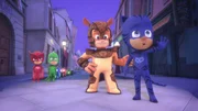 L-R: Owlette, Gekko, Armadylan, Catboy