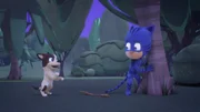 On the right: Catboy