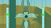 Wile E. Coyote