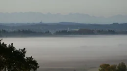 Morgennebel im Ampermoos.